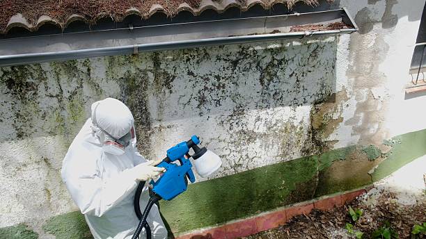 Trusted Commercial Mold Remediation service in Herndon, PA - Cheap Mold Removal